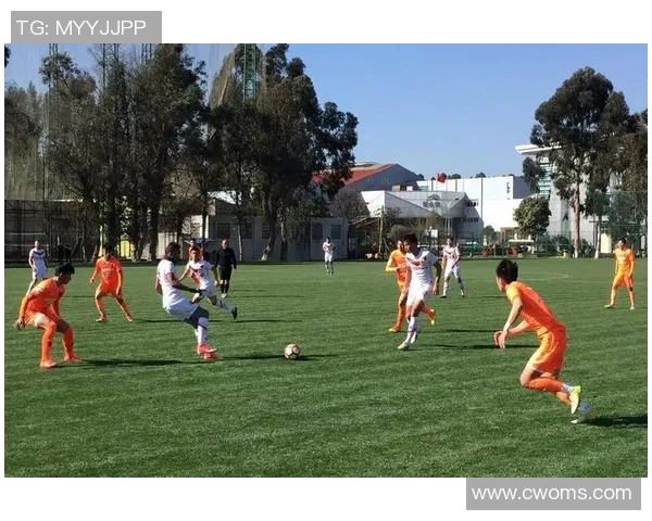 北京网球队在阵地战中的表现分析与战术调整探讨 北京网球队在阵地战中的表现分析与战术调整探讨