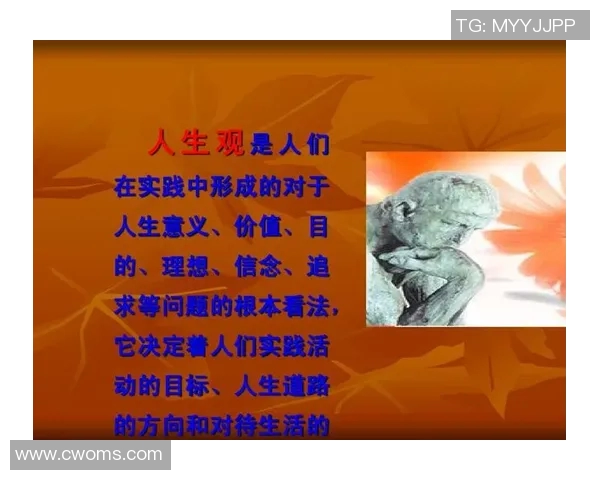 张帆的奋斗历程与成长故事探寻人生的意义与价值