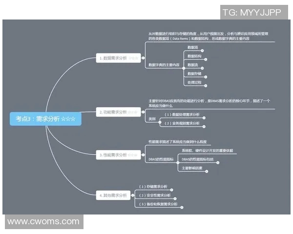 am和vs哪个更好选择适合自己的工具提升工作效率的关键分析