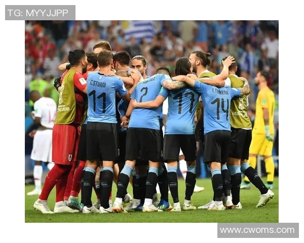 乌拉圭与秘鲁精彩对决回放分析及比赛亮点总结