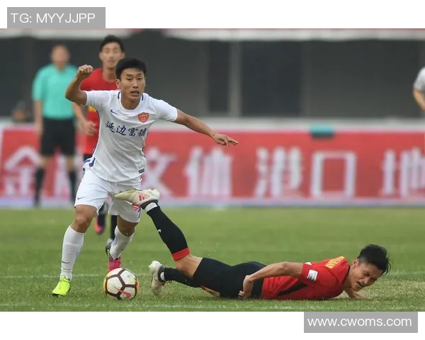 北京延边对阵延边富德的精彩较量揭示中甲联赛的激烈竞争与球队发展潜力 北京延边对阵延边富德的精彩较量揭示中甲联赛的激烈竞争与球队发展潜力