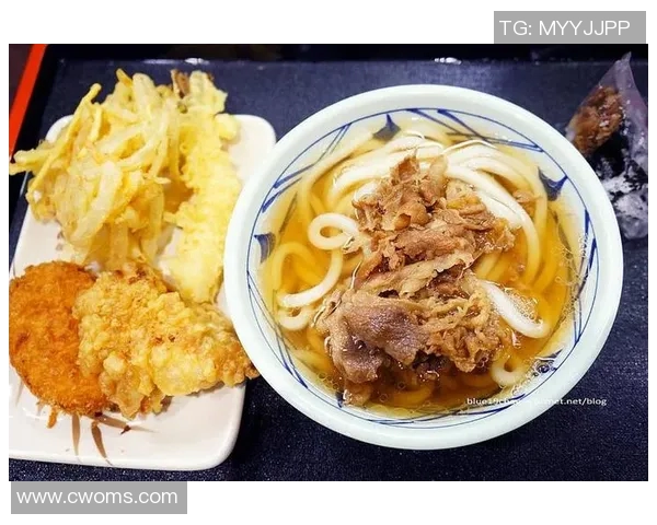 赞岐与岐阜的文化碰撞与美食对决探秘之旅