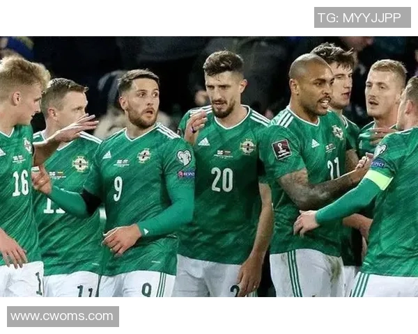 斯诺文尼亚与芬兰比赛前瞻分析及胜负预测详解 斯诺文尼亚与芬兰比赛前瞻分析及胜负预测详解