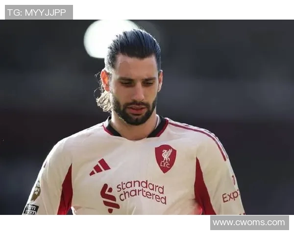 索博斯洛伊的魅力探秘与历史文化深度解析之旅 索博斯洛伊的魅力探秘与历史文化深度解析之旅