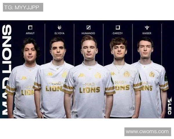 RNG在精英赛中的灵活战术展现与团队协作分析