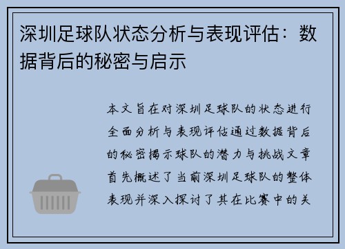 深圳足球队状态分析与表现评估：数据背后的秘密与启示