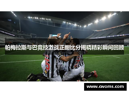 帕梅拉斯与巴竞技激战正酣比分揭晓精彩瞬间回顾
